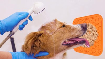 Vender productos en Amazon