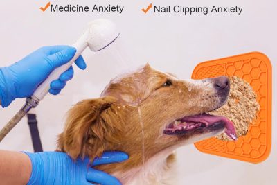 Vender productos en Amazon